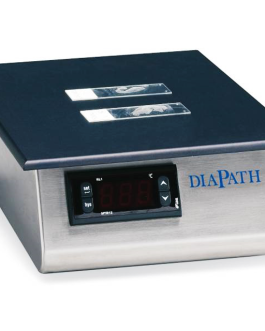 Mesa de estiramiento DPH 40
